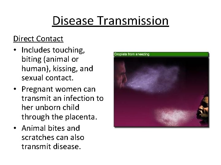 Disease Transmission Direct Contact • Includes touching, biting (animal or human), kissing, and sexual
