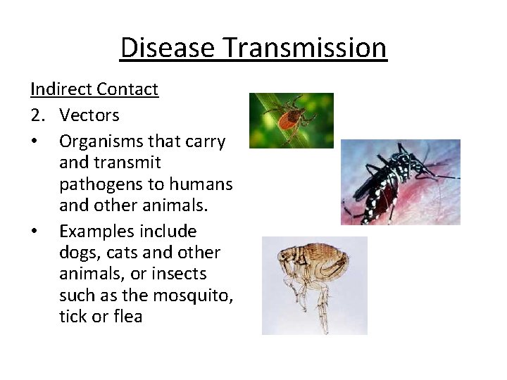 Disease Transmission Indirect Contact 2. Vectors • Organisms that carry and transmit pathogens to