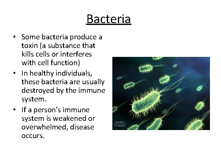 Bacteria • Some bacteria produce a toxin (a substance that kills cells or interferes