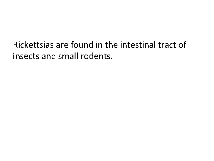 Rickettsias are found in the intestinal tract of insects and small rodents. 