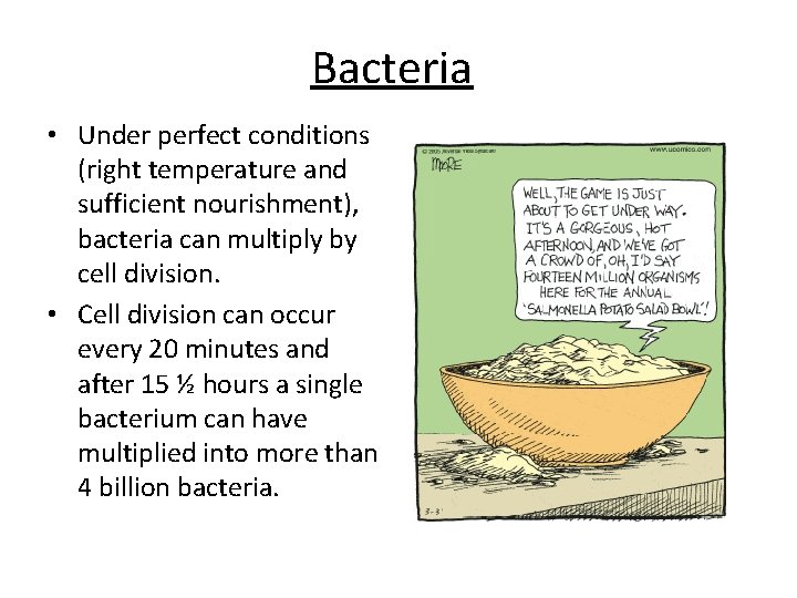 Bacteria • Under perfect conditions (right temperature and sufficient nourishment), bacteria can multiply by