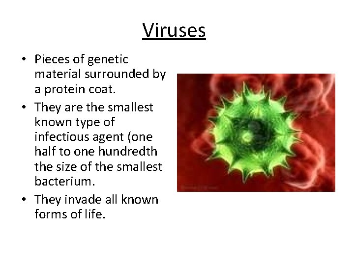 Viruses • Pieces of genetic material surrounded by a protein coat. • They are