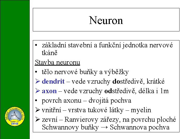 Neuron • základní stavební a funkční jednotka nervové tkáně Stavba neuronu • tělo nervové