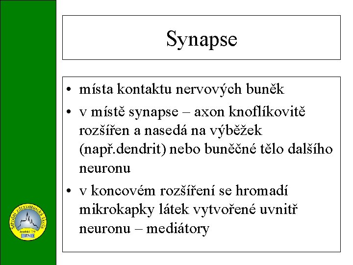 Synapse • místa kontaktu nervových buněk • v místě synapse – axon knoflíkovitě rozšířen