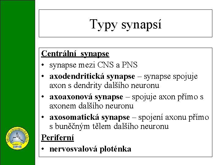 Typy synapsí Centrální synapse • synapse mezi CNS a PNS • axodendritická synapse –