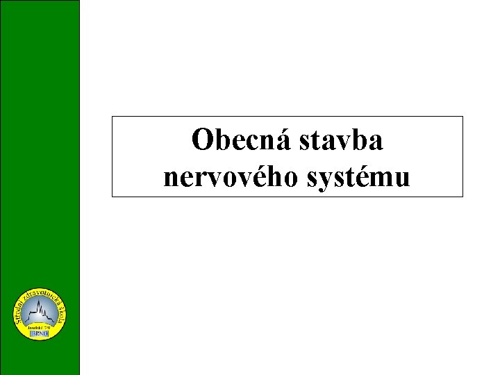 Obecná stavba nervového systému 