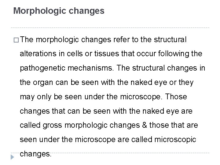 Morphologic changes � The morphologic changes refer to the structural alterations in cells or