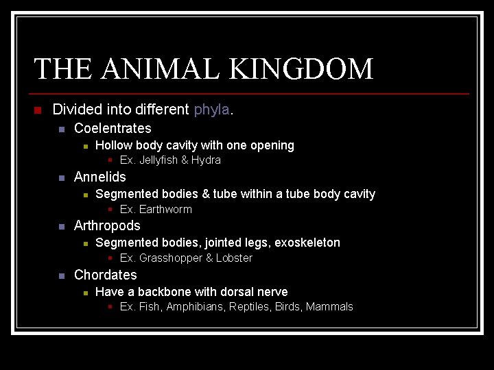 THE ANIMAL KINGDOM n Divided into different phyla. n Coelentrates n Hollow body cavity
