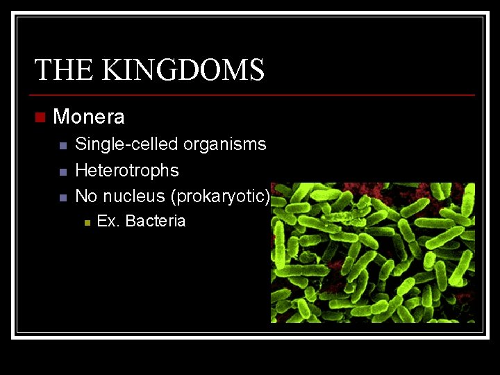 THE KINGDOMS n Monera n n n Single-celled organisms Heterotrophs No nucleus (prokaryotic) n