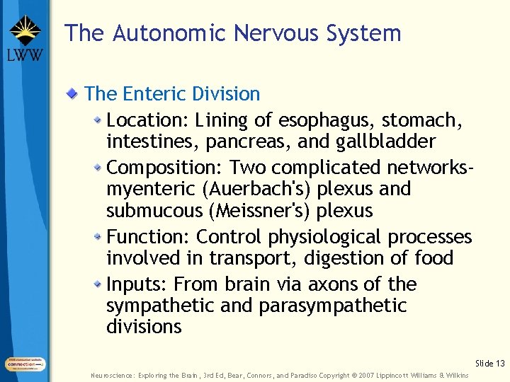 The Autonomic Nervous System The Enteric Division Location: Lining of esophagus, stomach, intestines, pancreas,