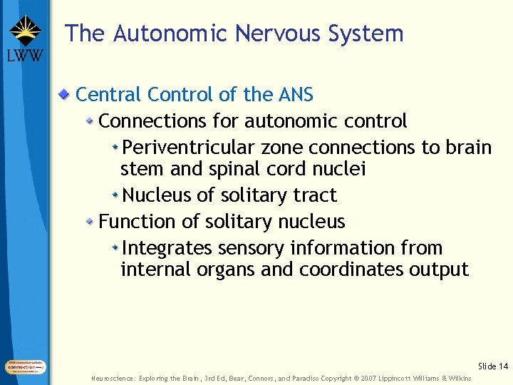 The Autonomic Nervous System Central Control of the ANS Connections for autonomic control Periventricular