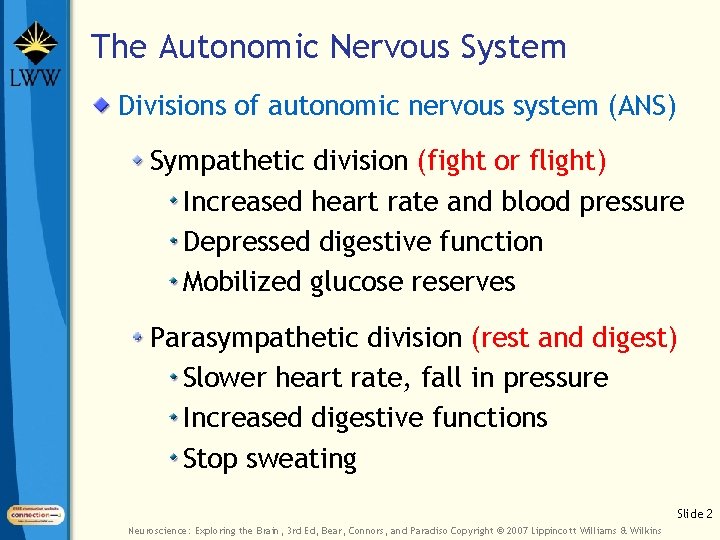The Autonomic Nervous System Divisions of autonomic nervous system (ANS) Sympathetic division (fight or