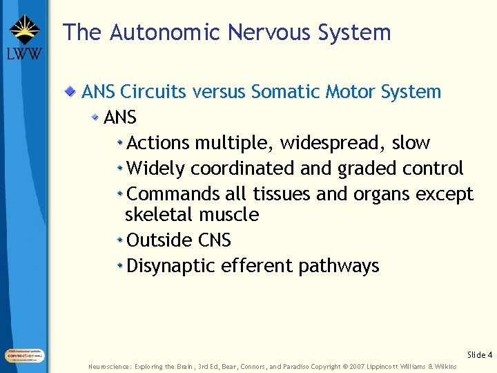 The Autonomic Nervous System ANS Circuits versus Somatic Motor System ANS Actions multiple, widespread,