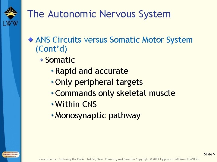 The Autonomic Nervous System ANS Circuits versus Somatic Motor System (Cont’d) Somatic Rapid and