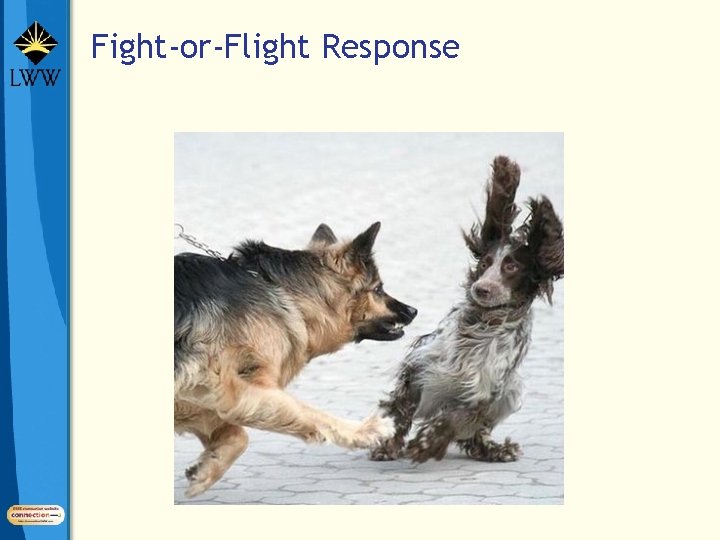 Fight-or-Flight Response 
