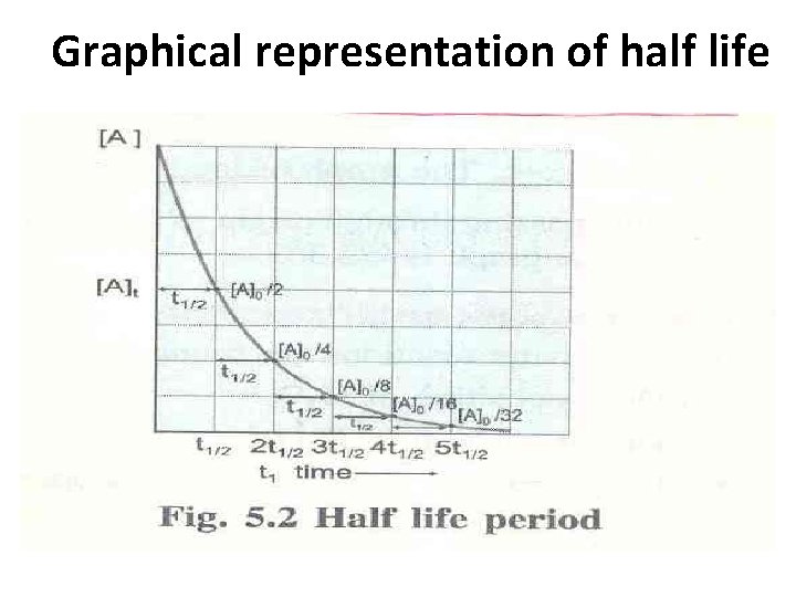 Graphical representation of half life 