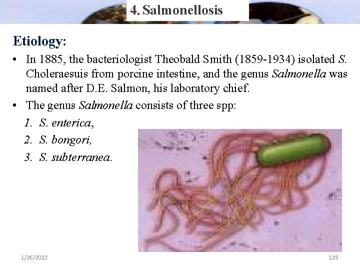 4. Salmonellosis Etiology: • In 1885, the bacteriologist Theobald Smith (1859 -1934) isolated S.