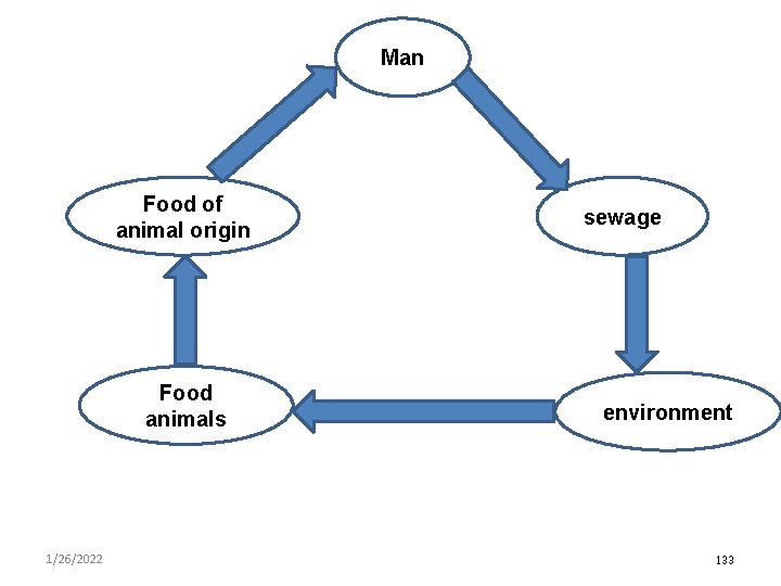 Man Food of animal origin Food animals 1/26/2022 sewage environment 133 