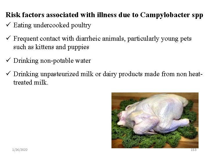 Risk factors associated with illness due to Campylobacter spp ü Eating undercooked poultry ü