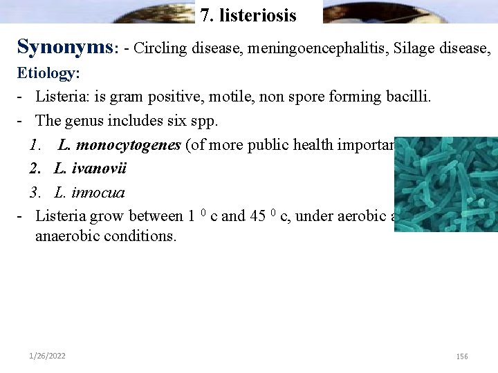 7. listeriosis Synonyms: - Circling disease, meningoencephalitis, Silage disease, Etiology: - Listeria: is gram