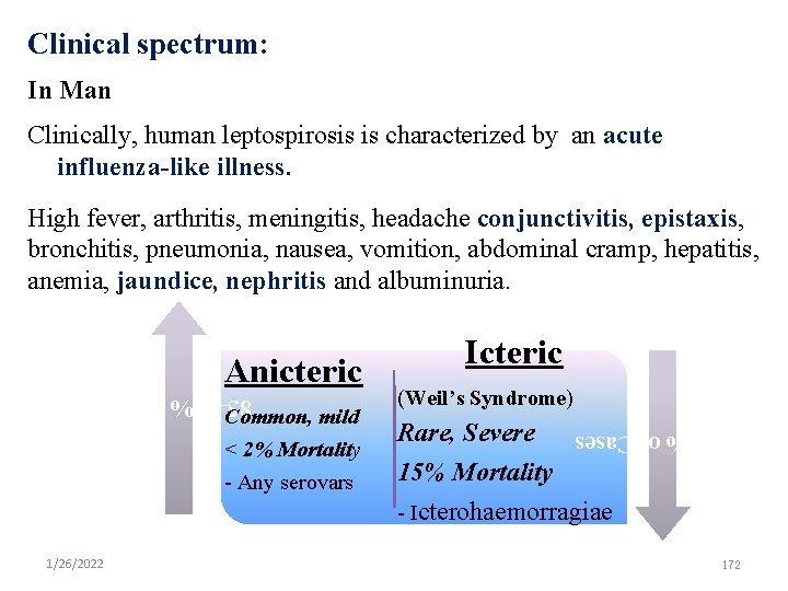 Clinical spectrum: In Man Clinically, human leptospirosis is characterized by an acute influenza-like illness.