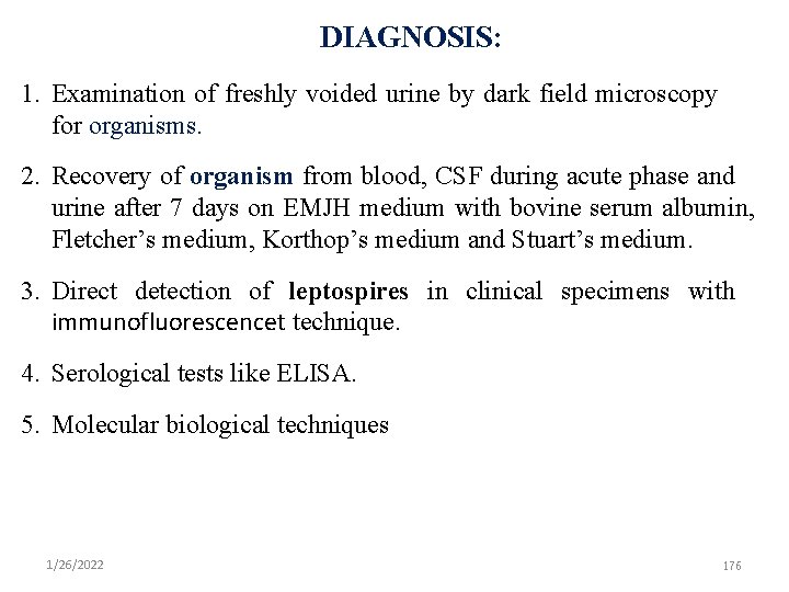 DIAGNOSIS: 1. Examination of freshly voided urine by dark field microscopy for organisms. 2.