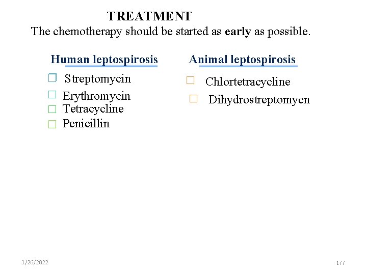 TREATMENT The chemotherapy should be started as early as possible. Human leptospirosis Streptomycin Erythromycin