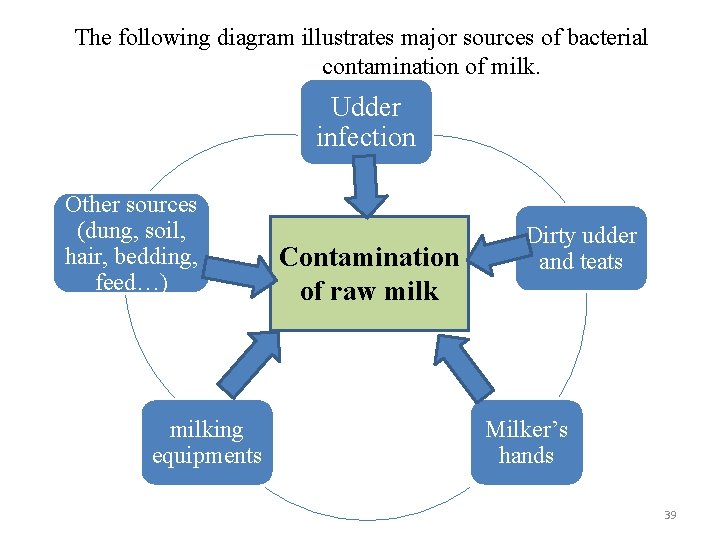 The following diagram illustrates major sources of bacterial contamination of milk. Udder infection Other