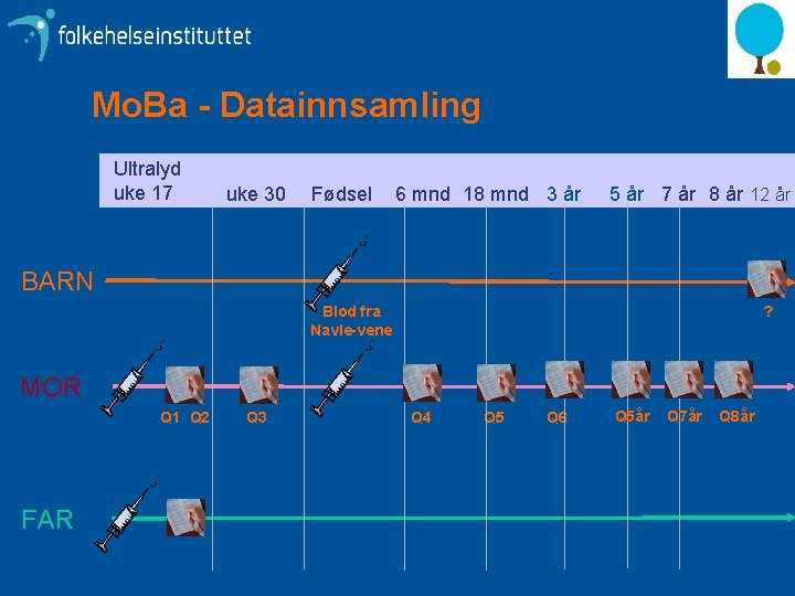 Mo. Ba - Datainnsamling Ultralyd uke 17 uke 30 Fødsel 6 mnd 18 mnd