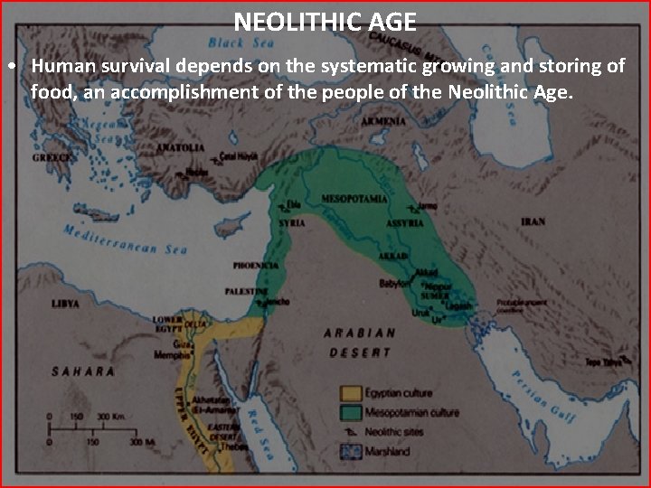 NEOLITHIC AGE • Human survival depends on the systematic growing and storing of food,