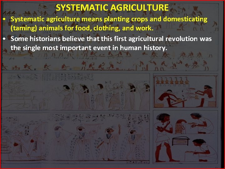 SYSTEMATIC AGRICULTURE • Systematic agriculture means planting crops and domesticating (taming) animals for food,