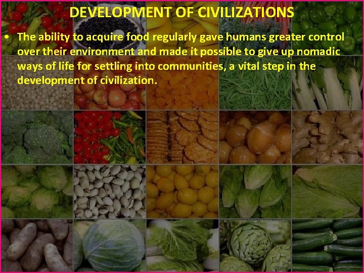 DEVELOPMENT OF CIVILIZATIONS • The ability to acquire food regularly gave humans greater control