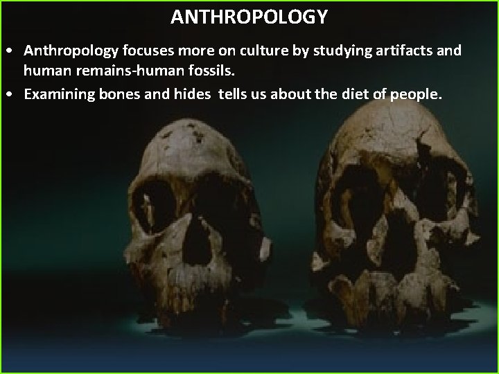 ANTHROPOLOGY • Anthropology focuses more on culture by studying artifacts and human remains-human fossils.