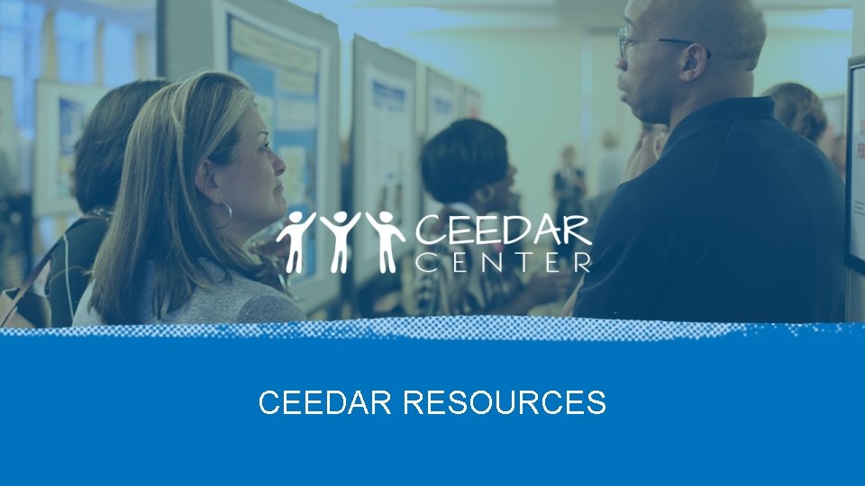 CEEDAR RESOURCES 
