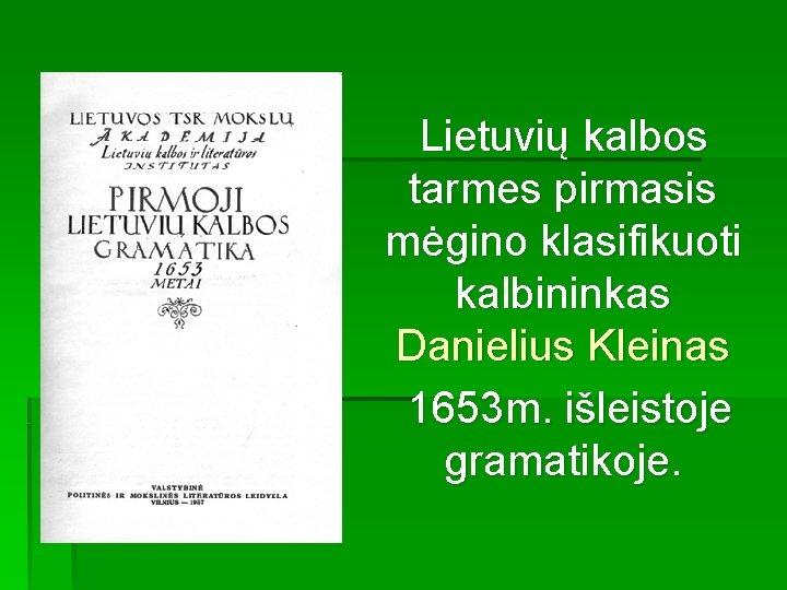 Lietuvių kalbos tarmes pirmasis mėgino klasifikuoti kalbininkas Danielius Kleinas 1653 m. išleistoje gramatikoje. 