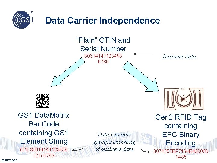 Data Carrier Independence “Plain” GTIN and Serial Number 80614141123458 6789 GS 1 Data. Matrix