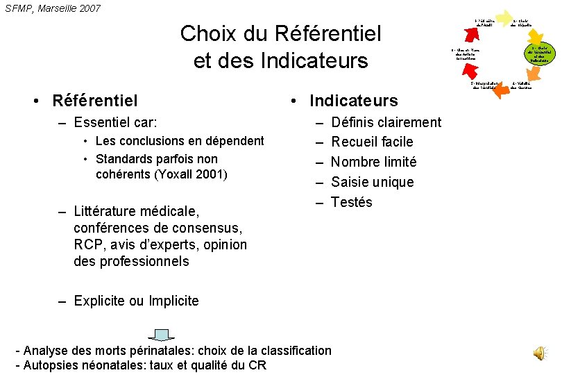 SFMP, Marseille 2007 Choix du Référentiel et des Indicateurs 1 - Périmètre de l’Audit