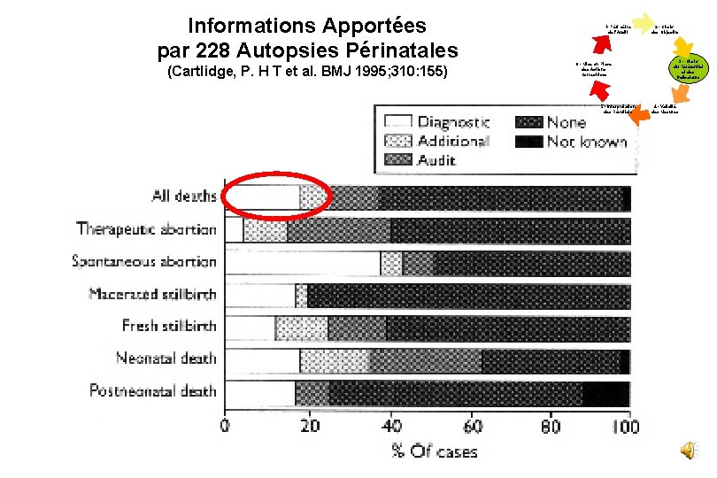 Informations Apportées par 228 Autopsies Périnatales (Cartlidge, P. H T et al. BMJ 1995;