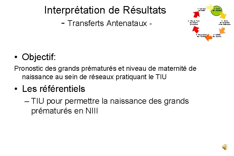 Interprétation de Résultats - Transferts Antenataux - 1 - Périmètre de l’Audit 6 -