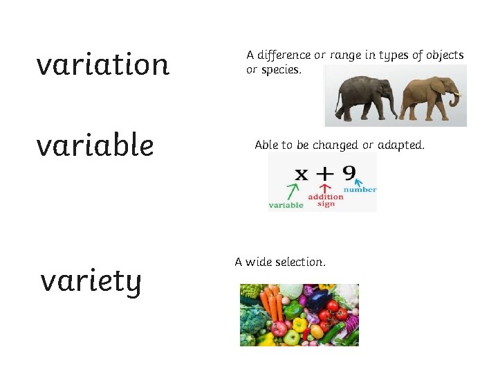 variation variable variety A difference or range in types of objects or species. Able