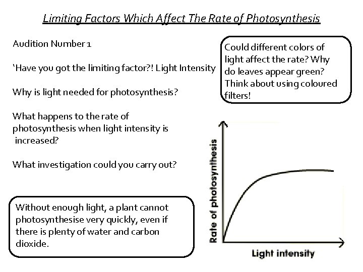 Limiting Factors Which Affect The Rate of Photosynthesis Audition Number 1 Could different colors
