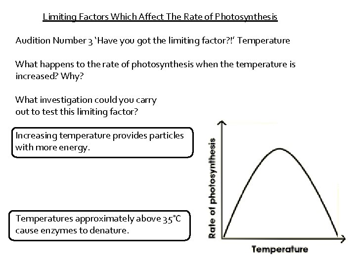 Limiting Factors Which Affect The Rate of Photosynthesis Audition Number 3 ‘Have you got