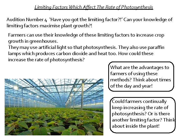 Limiting Factors Which Affect The Rate of Photosynthesis Audition Number 4 ‘Have you got