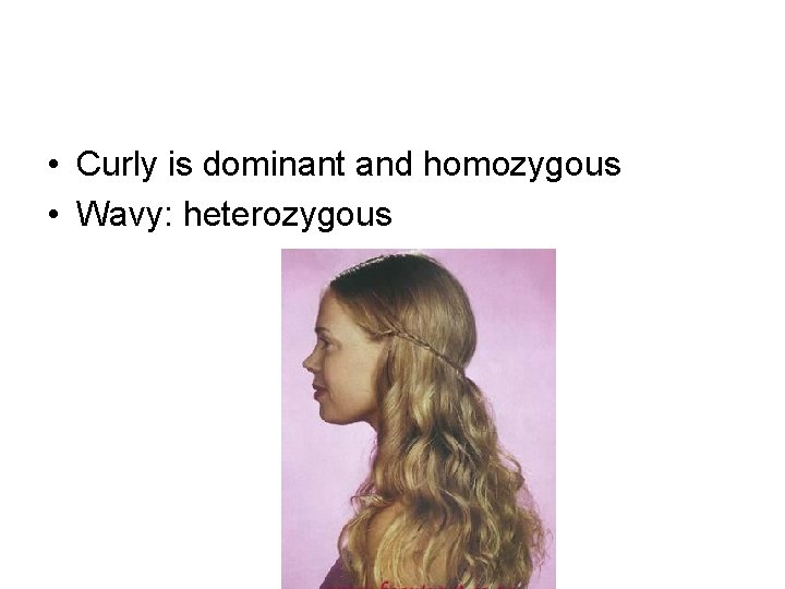  • Curly is dominant and homozygous • Wavy: heterozygous 