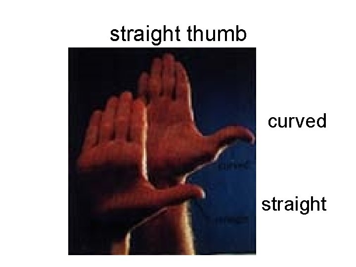 straight thumb curved straight 