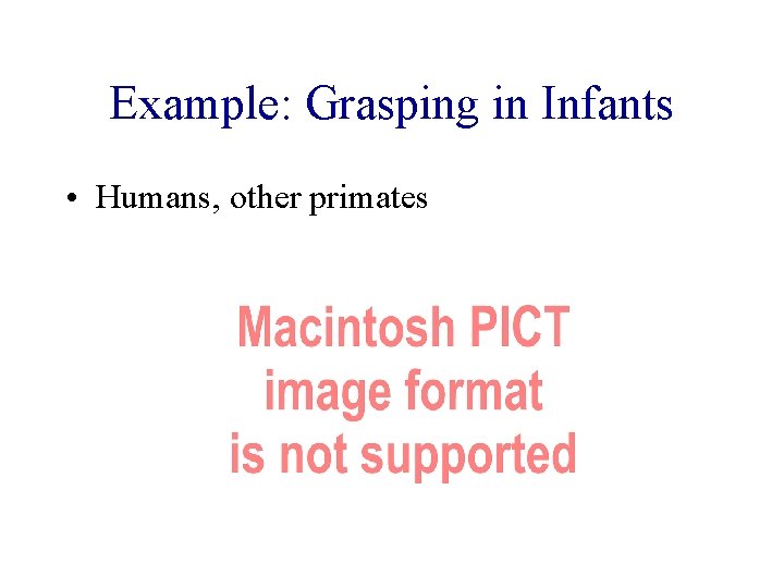 Example: Grasping in Infants • Humans, other primates 