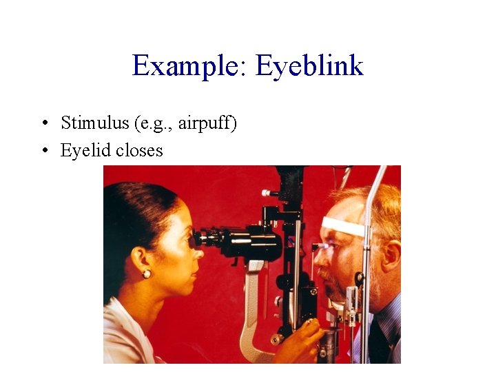 Example: Eyeblink • Stimulus (e. g. , airpuff) • Eyelid closes 