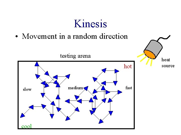 Kinesis • Movement in a random direction testing arena hot slow cool medium fast