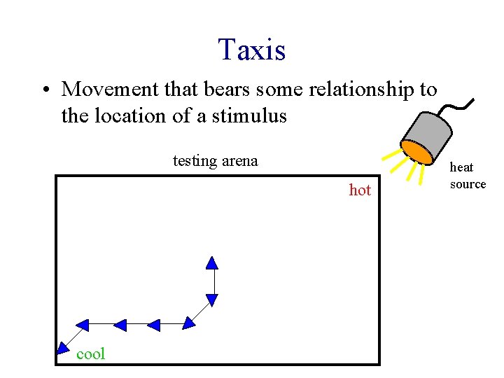 Taxis • Movement that bears some relationship to the location of a stimulus testing