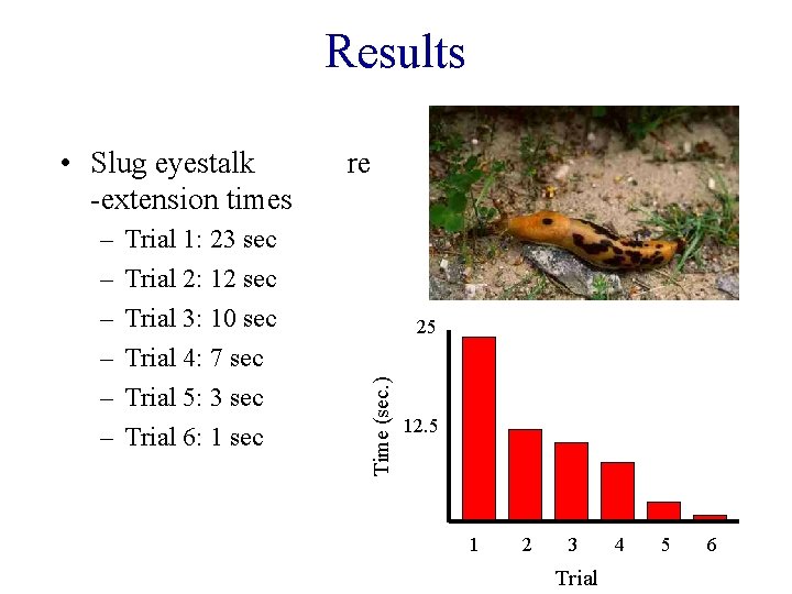 Results – – – Trial 1: 23 sec Trial 2: 12 sec Trial 3: